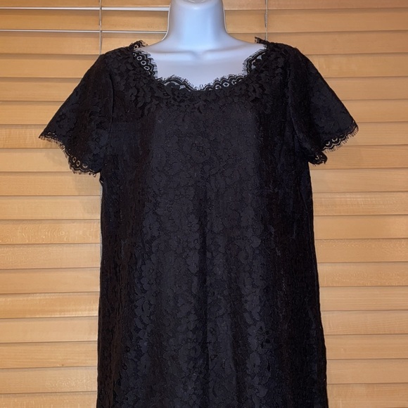 Joie Susina Black Scallop Lace Dress - Picture 7 of 12